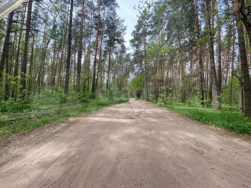 Участок 5 сот. (СНТ, ДНП) - Фото 0