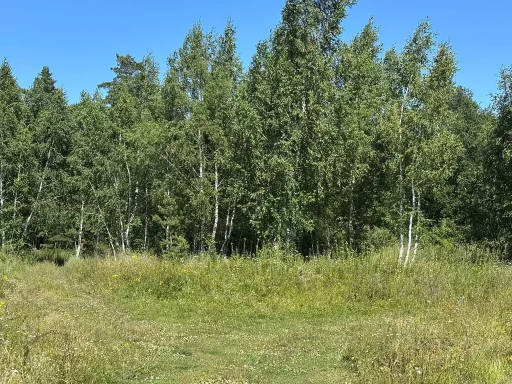 Участок в Ульяновская область, Чердаклинский район, Мирновское с/пос, ... - Фото 2