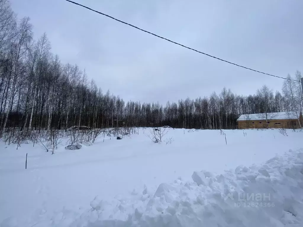 Участок в Ярославская область, Переславль-Залесский городской округ, ... - Фото 1