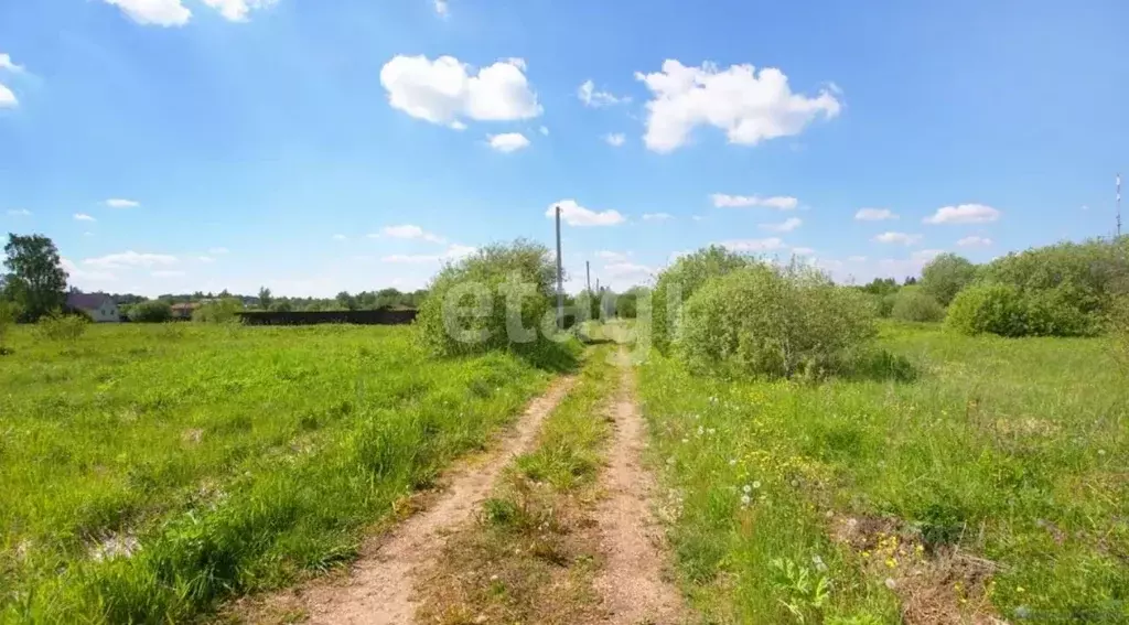 Участок в Московская область, Волоколамский муниципальный округ, ... - Фото 2