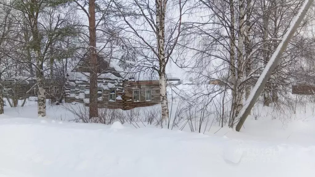 Участок в Архангельская область, Холмогорский муниципальный округ, д. ... - Фото 2