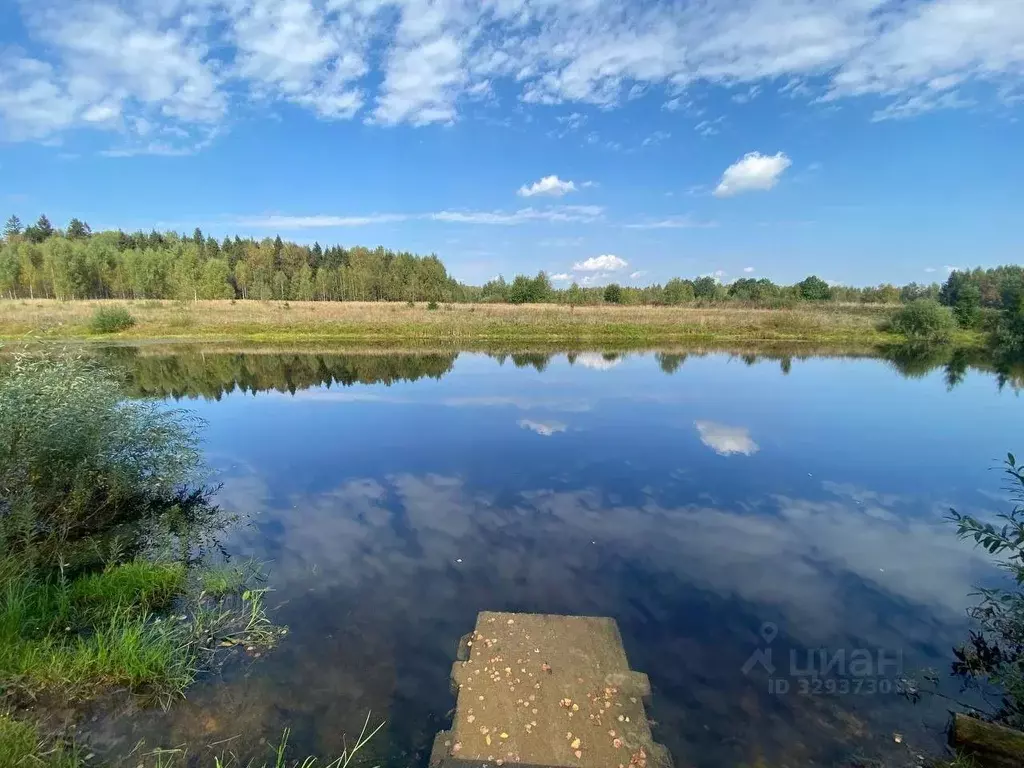Участок в Московская область, Мытищи городской округ, д. Протасово, ... - Фото 1