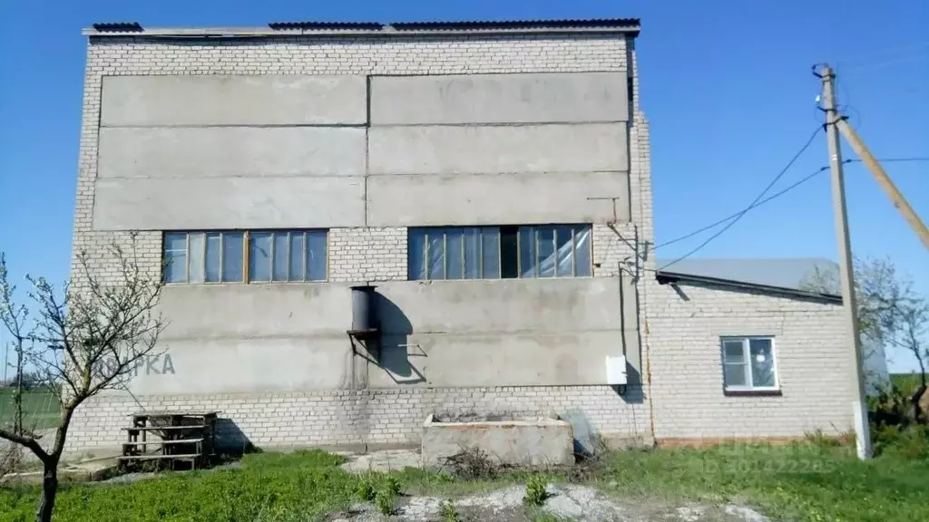 Помещение свободного назначения в Краснодарский край, Щербиновский ... - Фото 2