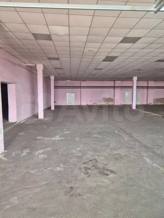 Торговая, площадь - Фото 1