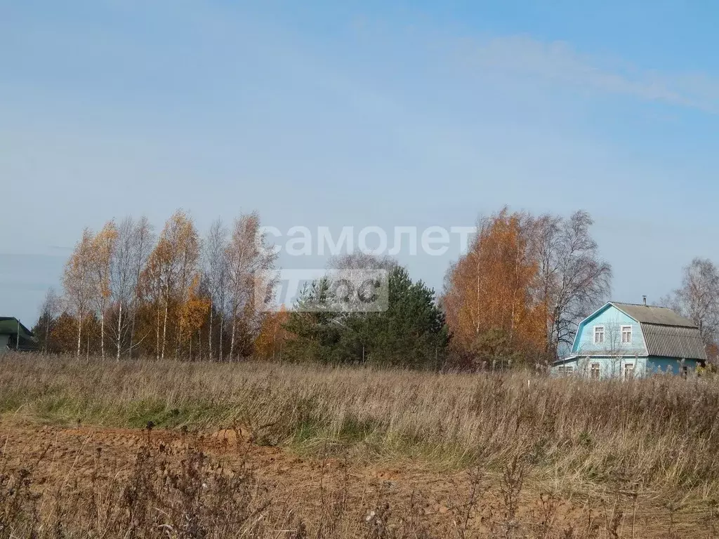 Участок в Вологодская область, д. Голузино  (20.0 сот.) - Фото 1