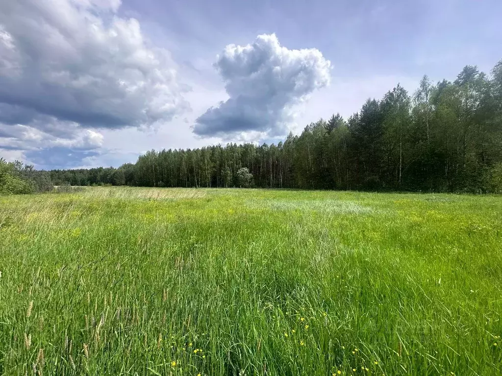 Участок в Московская область, Богородский городской округ, д. Тимково ... - Фото 0