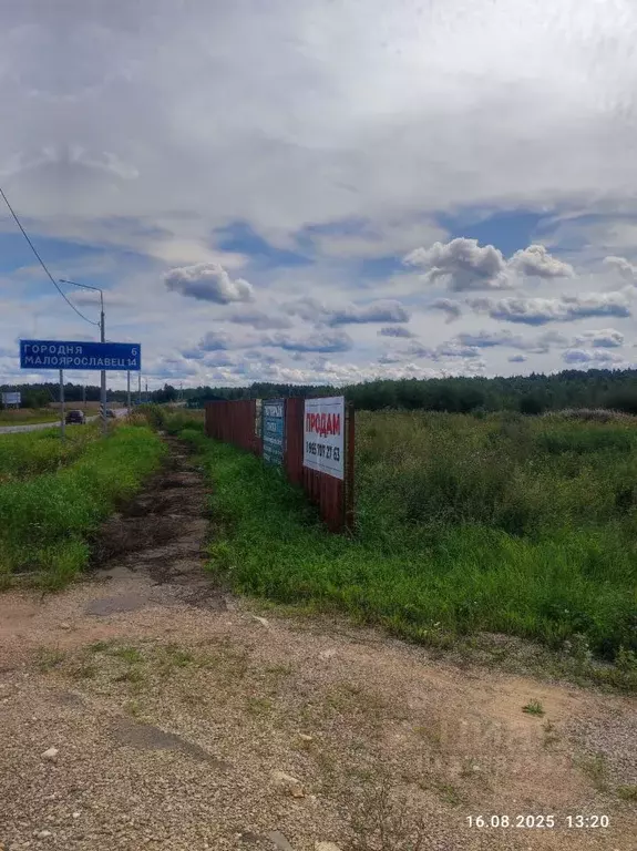 Участок в Калужская область, Совхоз Боровский с/пос, д. Тимашово ул. ... - Фото 2