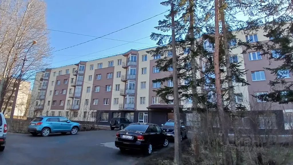 Комната Ленинградская область, Тихвин ул. Борисова, 2 (14.0 м) - Фото 1