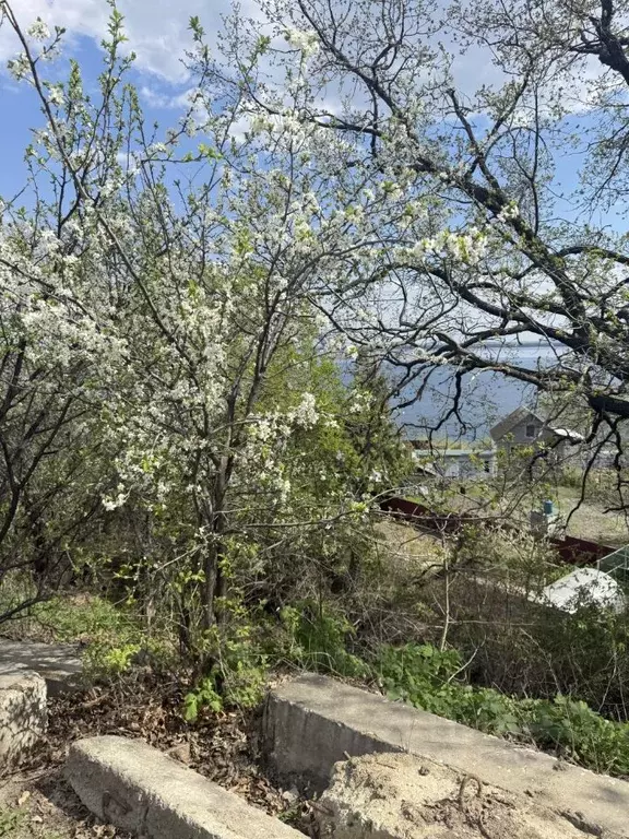 Участок в Саратовская область, пос. Красный Текстильщик ул. Лесная, 6 ... - Фото 0