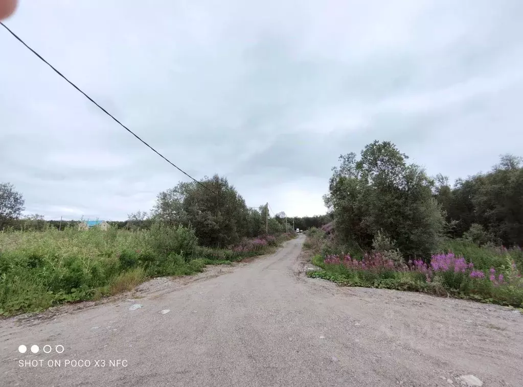 Участок в Мурманская область, Кольский район, Кильдинстрой городское ... - Фото 1