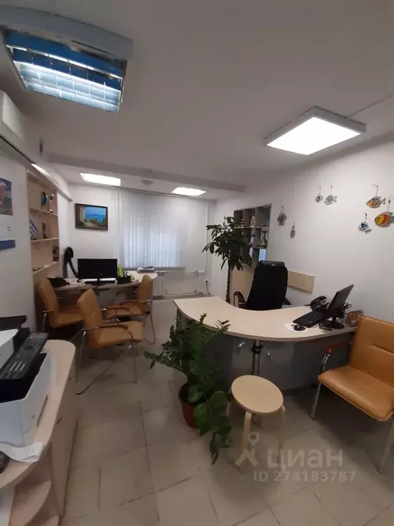 Офис в Пермский край, Пермь ул. Пушкина, 23 (58 м) - Фото 2