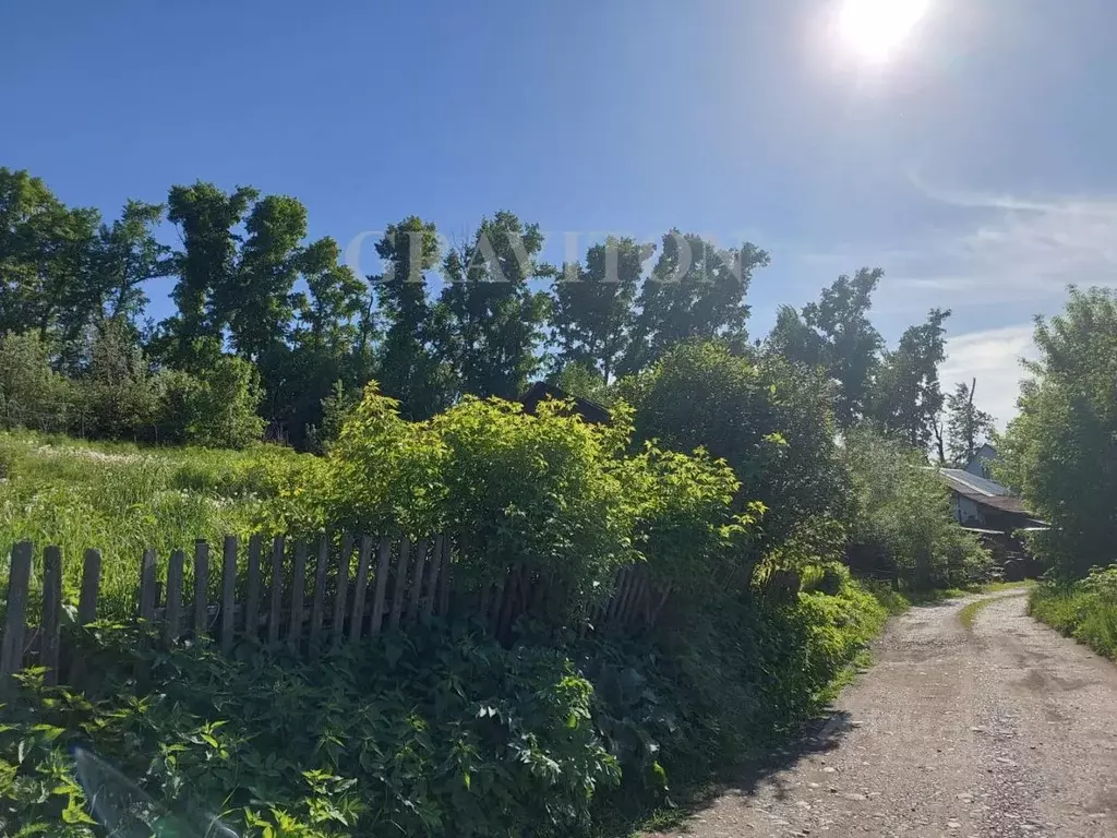 Участок в Алтай, Горно-Алтайск пер. Лисавенко (10.0 сот.) - Фото 2