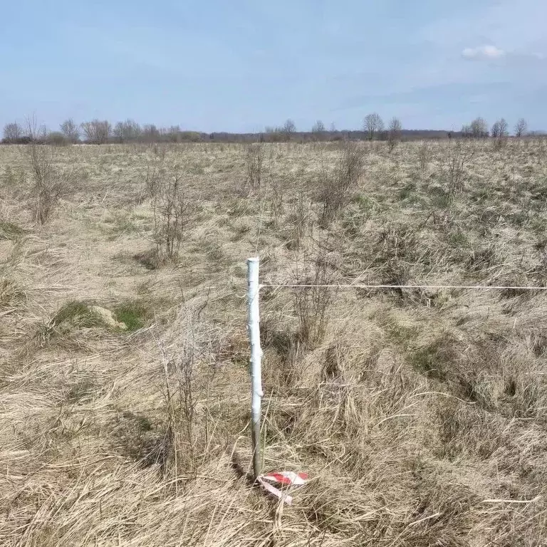 Участок в Калининградская область, Гурьевский муниципальный округ, ... - Фото 2