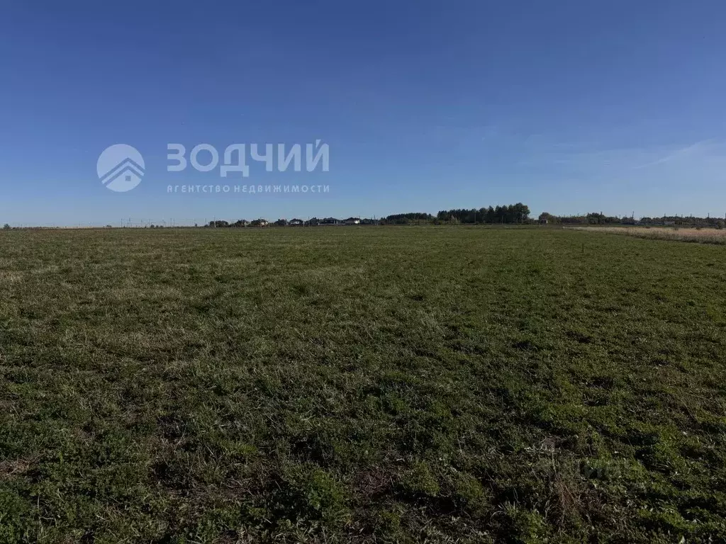 Участок в Чувашия, Чебоксарский муниципальный округ, пос. Синьялы  ... - Фото 1