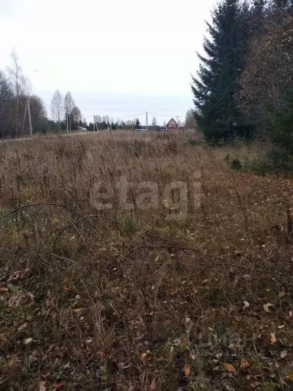 Участок в Московская область, Можайский муниципальный округ, д. ... - Фото 2