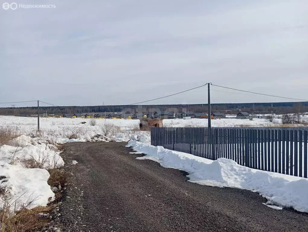 Участок в Ярославский муниципальный округ, деревня Карабиха (20 м) - Фото 2