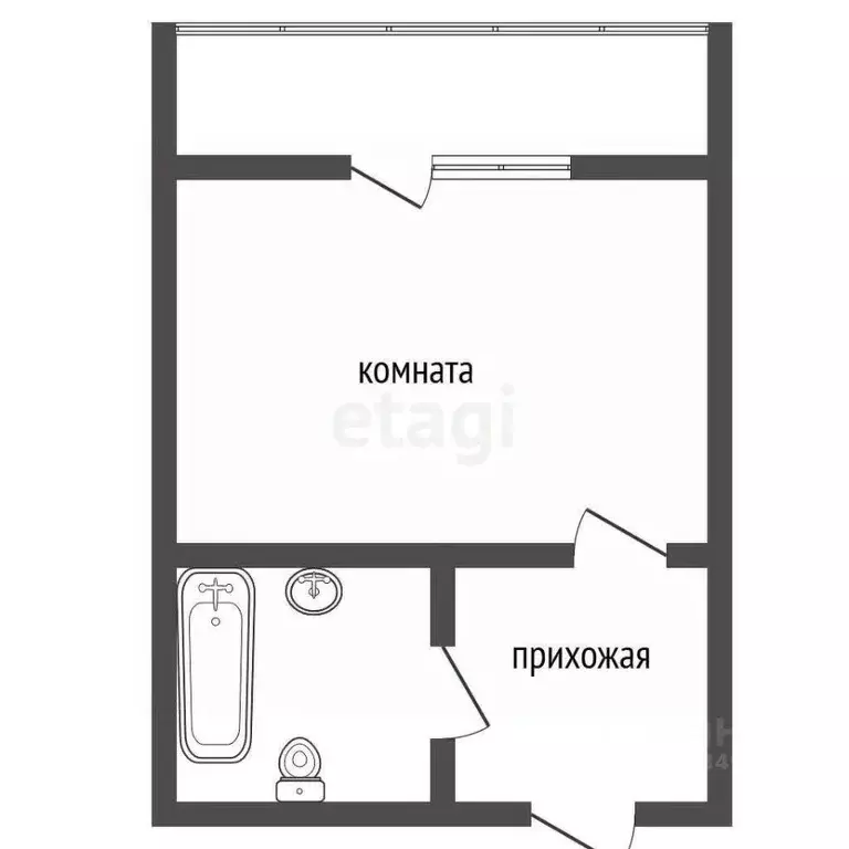Студия Воронежская область, с. Новая Усмань ул. Полевая, 22А/5 (24.3 ... - Фото 1