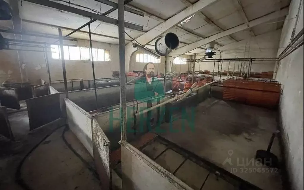 Производственное помещение в Москва д. Кузнецово,  (40000 м) - Фото 1