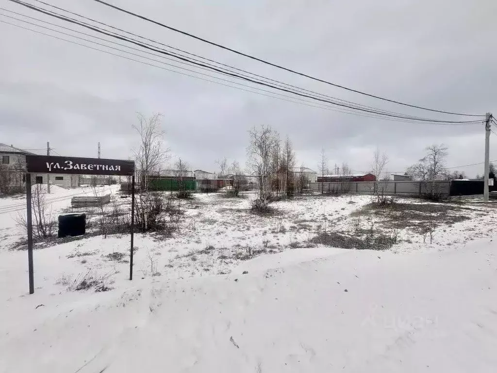 Участок в Ямало-Ненецкий АО, Новый Уренгой Мечта СНТ, ул. Заветная, 2 ... - Фото 1