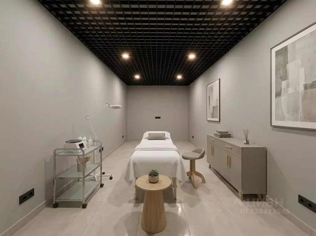 Помещение свободного назначения в Москва Зверинецкая ул., 6 (245 м) - Фото 2