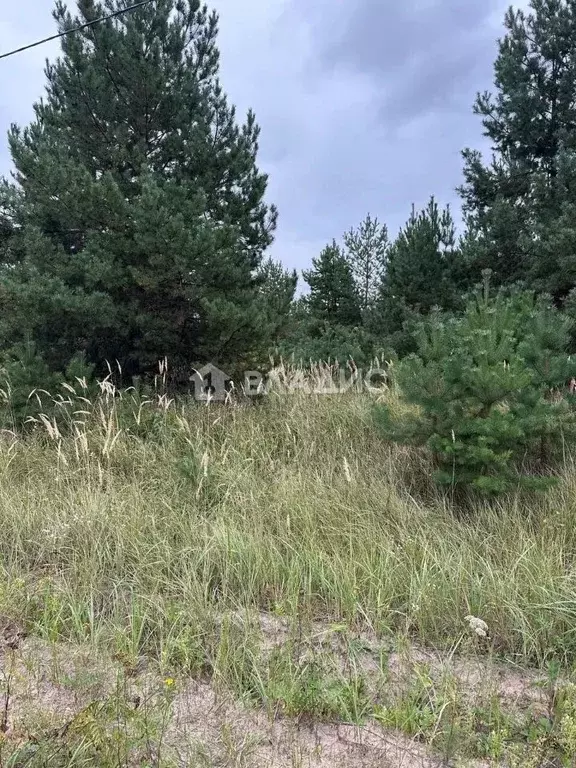 Участок в Воронежская область, Рамонский район, Айдаровское с/пос, с. ... - Фото 1