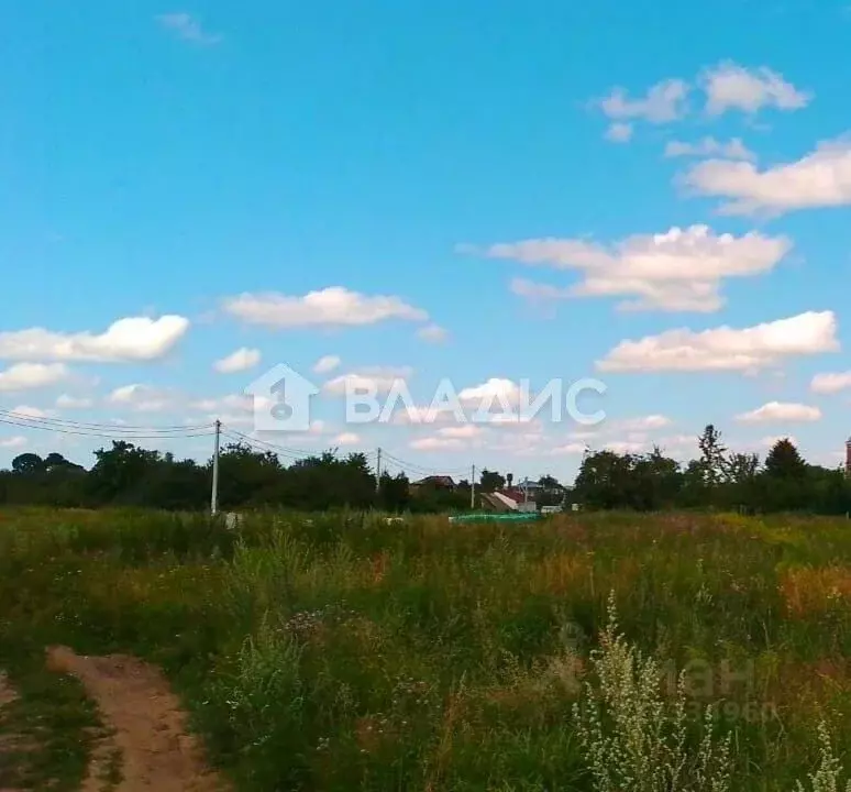Участок в Владимирская область, Суздальский район, Новоалександровское ... - Фото 0