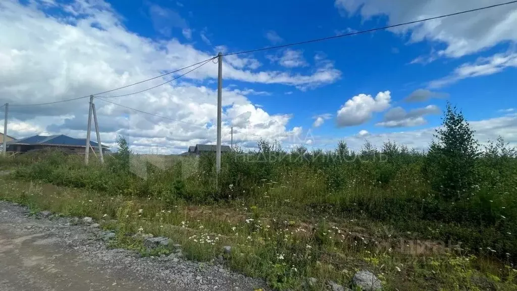 Участок в Тюменская область, Тюменский муниципальный округ, с. ... - Фото 1