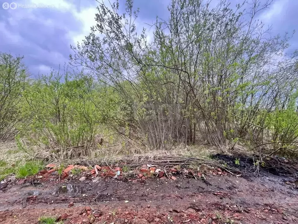Участок в Республика Мордовия, городской округ Саранск, посёлок ... - Фото 1