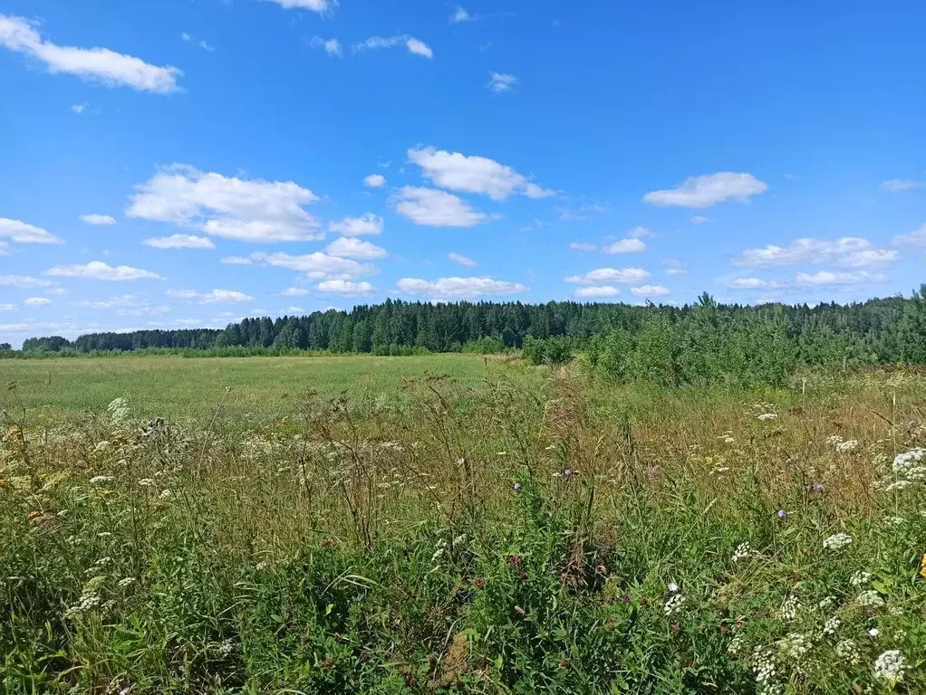 Участок в Кировская область, Слободской район, Ленинское с/пос, д. ... - Фото 2