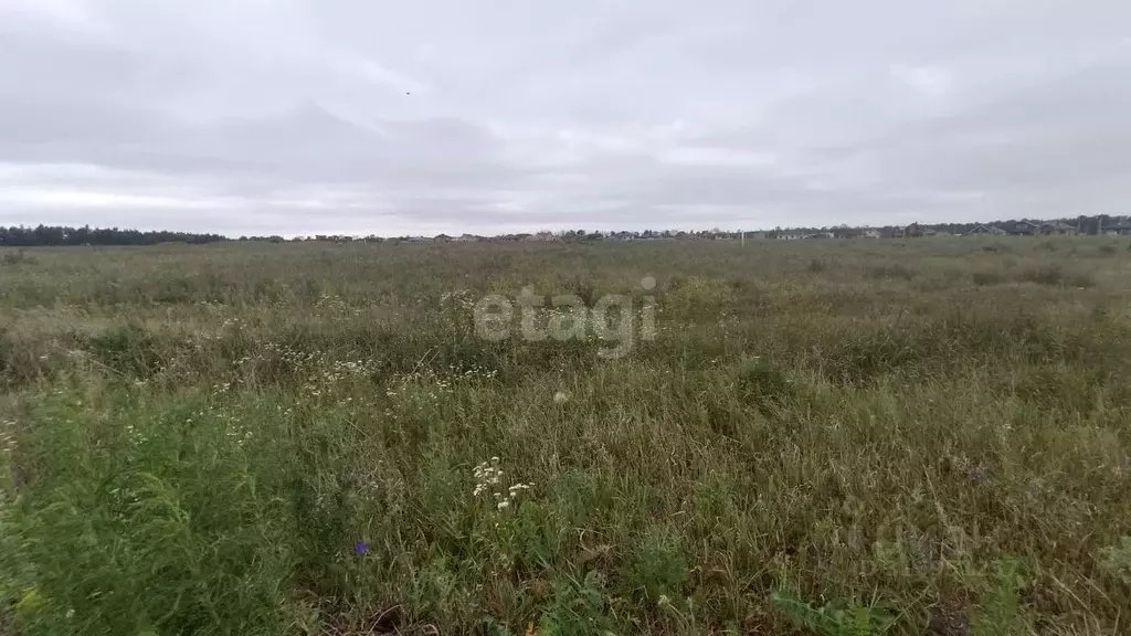 Участок в Белгородская область, Белгородский район, Беловское с/пос, ... - Фото 0