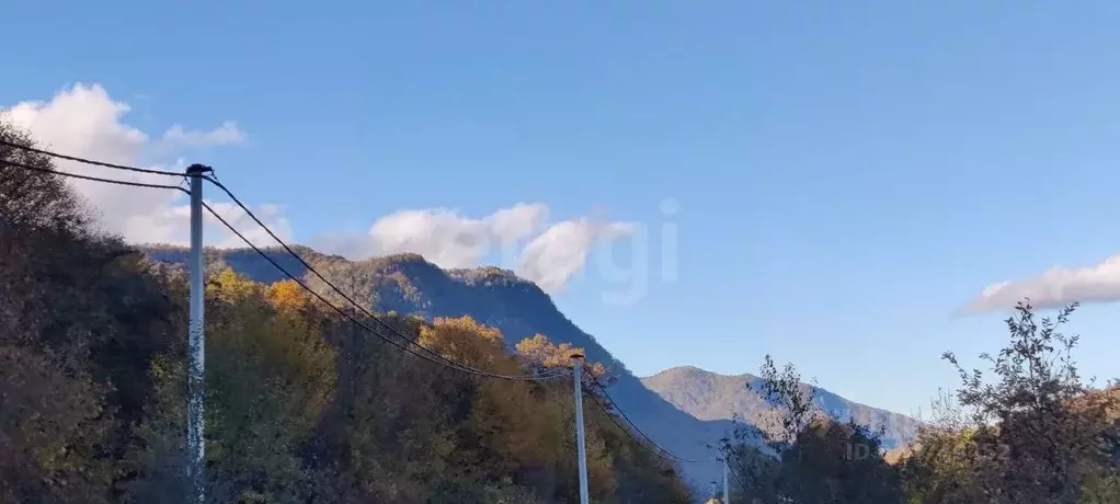 Участок в Адыгея, Майкопский район, Даховское с/пос, с. Хамышки ул. ... - Фото 1