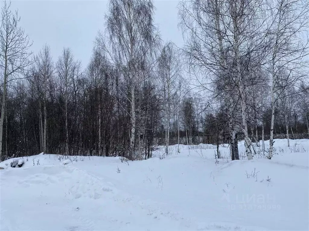 Участок в Томская область, Томск пос. Апрель, проезд Геологов, 14 ... - Фото 1