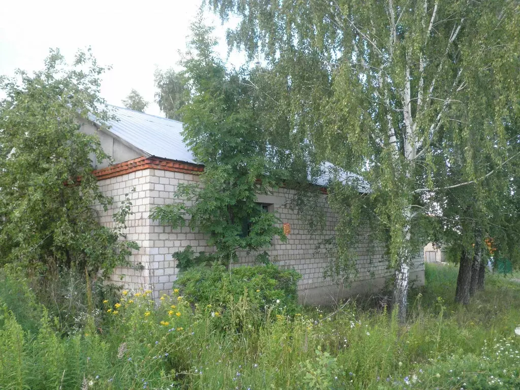 Участок в деревня Большая Каменка, Новая улица, 4 (10 м) - Фото 1