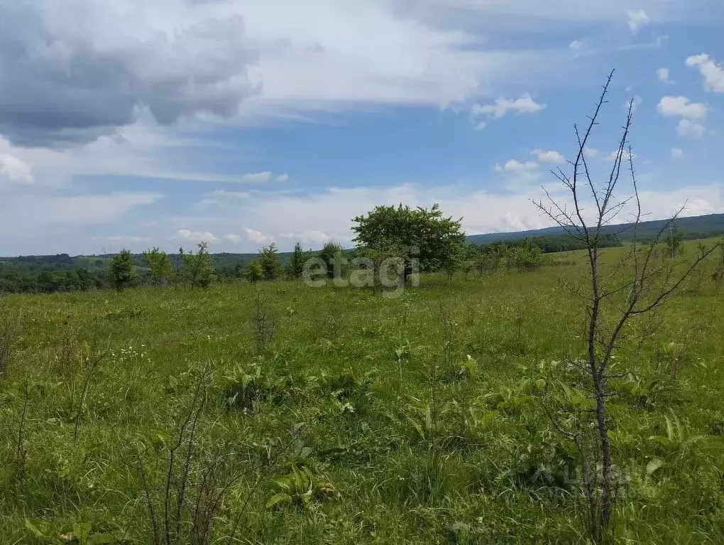 Участок в Адыгея, Майкопский район, Абадзехское с/пос, Севастопольская ... - Фото 0