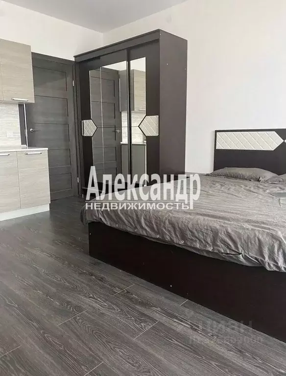 Студия Санкт-Петербург просп. Ветеранов, 183 (24.5 м) - Фото 2