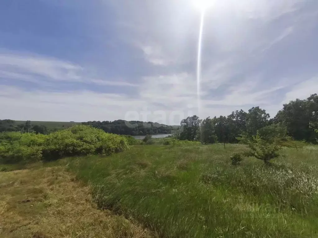 Участок в Белгородская область, Белгородский район, Комсомольское ... - Фото 1