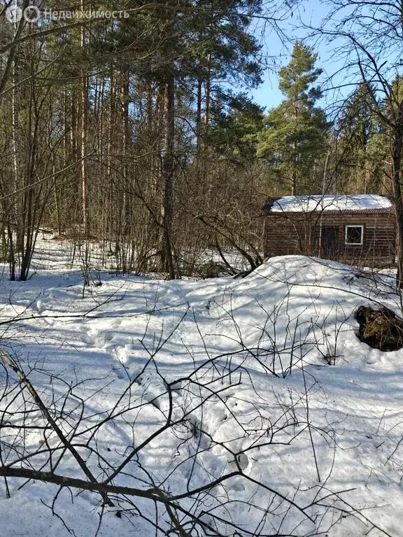 Участок в Всеволожский район, деревня Юкки (50 м) - Фото 0