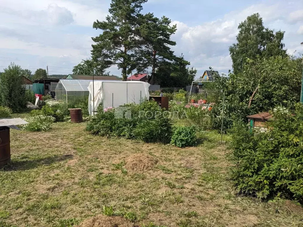 Участок в Новосибирская область, Новосибирский район, Мочищенский ... - Фото 2