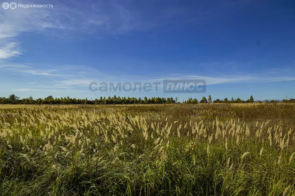 Участок в деревня Андреевское (35.68 м) - Фото 0