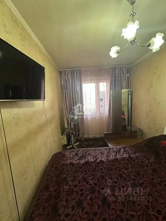 2-к кв. Новосибирская область, Новосибирск ул. Никитина, 68 (46.0 м) - Фото 1