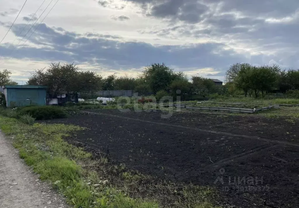 Участок в Белгородская область, Белгородский район, с. Стрелецкое, ... - Фото 2