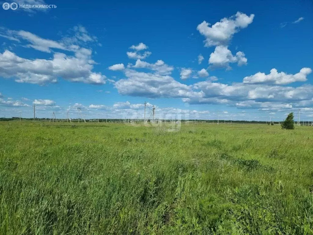 Участок в село Хоперское, Берёзовая улица (10 м) - Фото 2