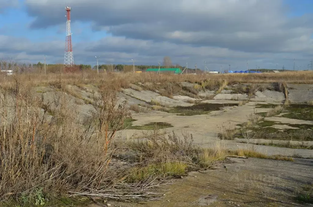 Производственное помещение в Самарская область, Ставропольский район, ... - Фото 1
