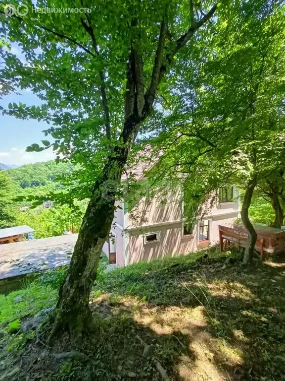 Дом в Сочи, Таёжная улица (260 м) - Фото 1