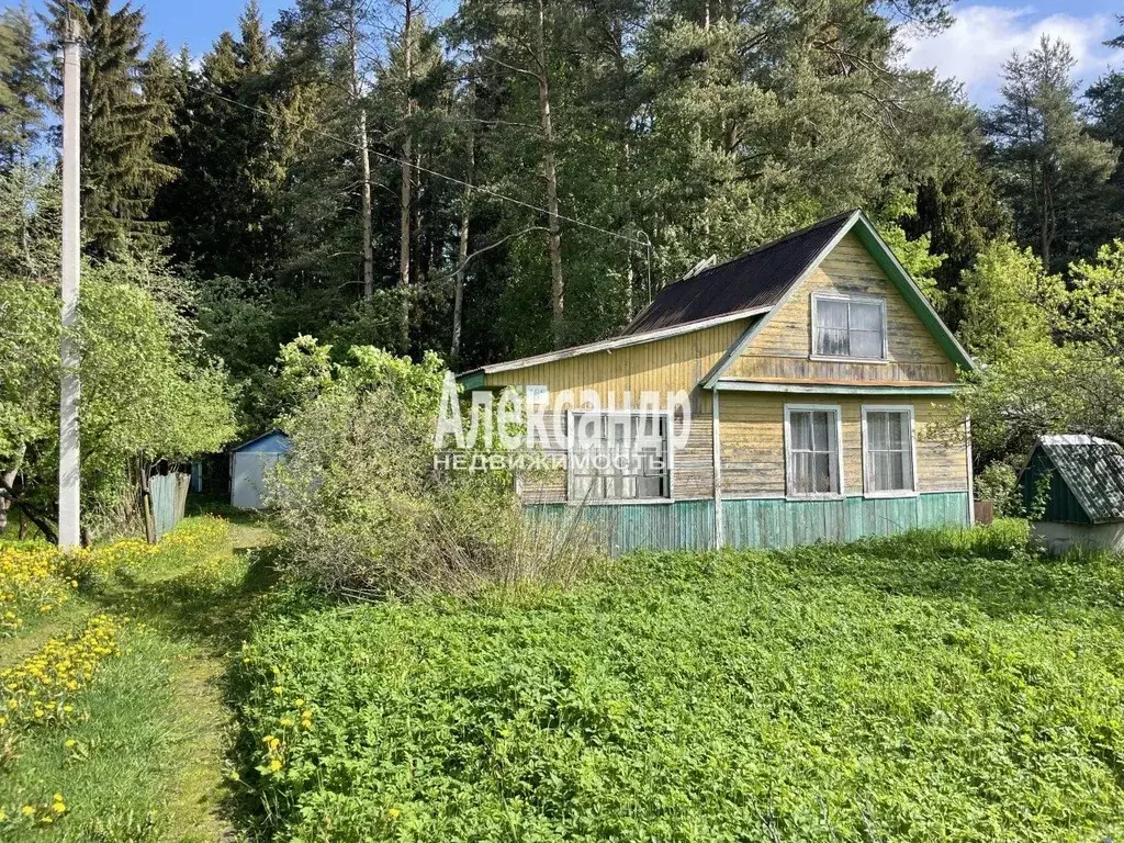 Участок в Ленинградская область, Кировское городское поселение, ... - Фото 2