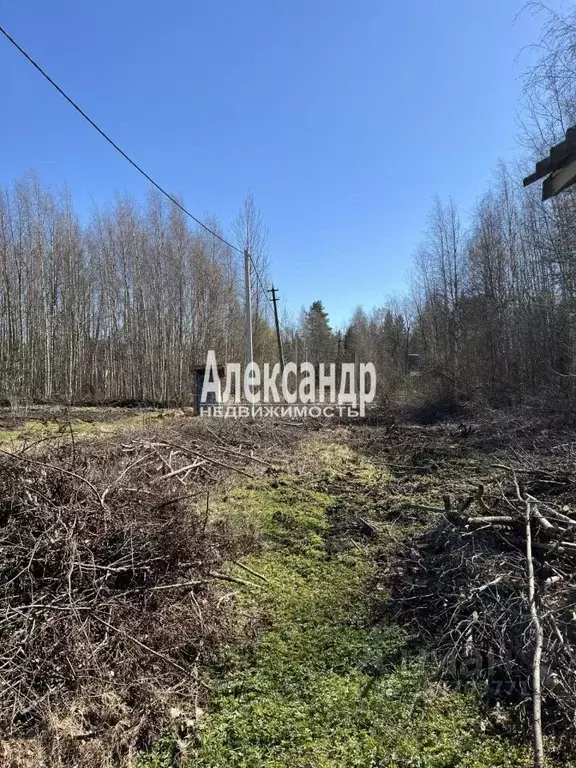 Участок в Ленинградская область, Выборгский район, Гончаровское с/пос, ... - Фото 0