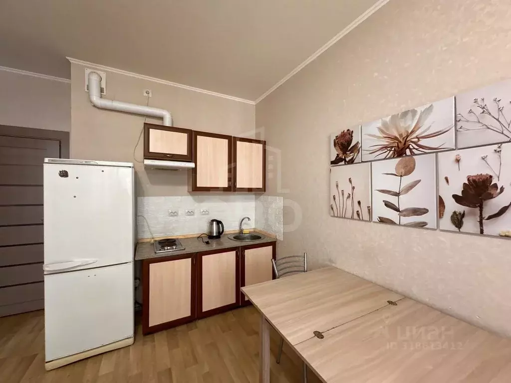 Студия Санкт-Петербург пос. Шушары, Школьная ул., 17 (25.0 м) - Фото 1