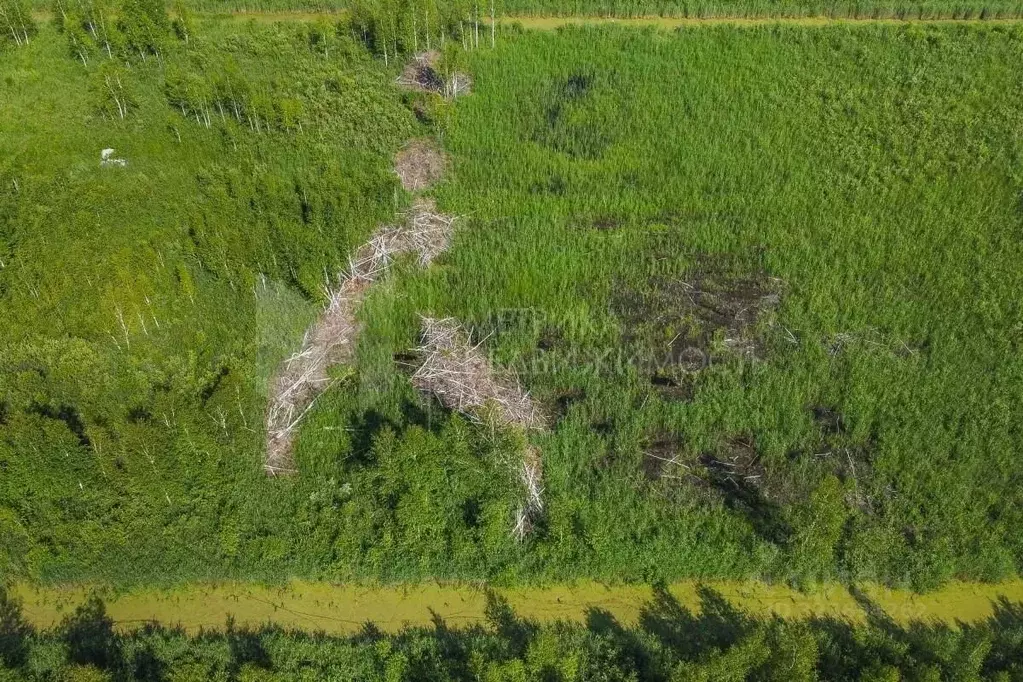 Участок в Тюменская область, Нижнетавдинский муниципальный округ, ... - Фото 1