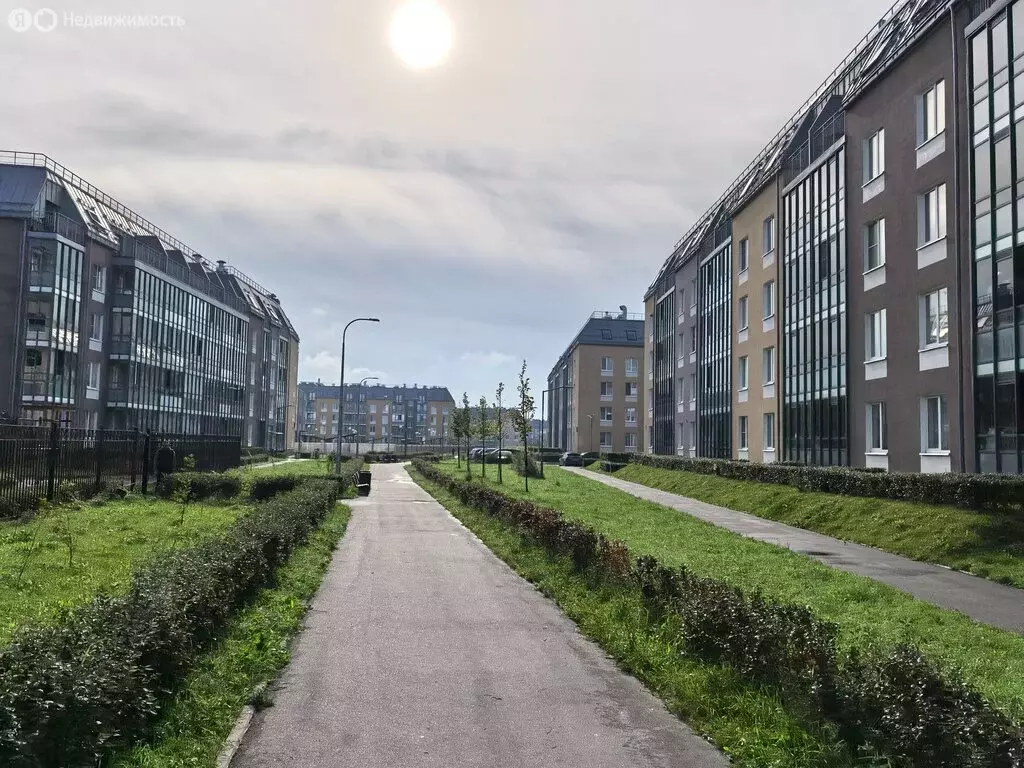 Квартира-студия: Санкт-Петербург, Меридианная улица, 6к1 (25.4 м) - Фото 0