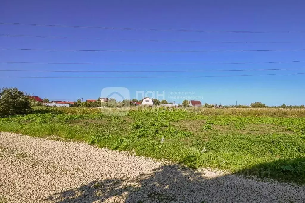 Участок в Ленинградская область, Тосненский район, Тельмановское ... - Фото 0